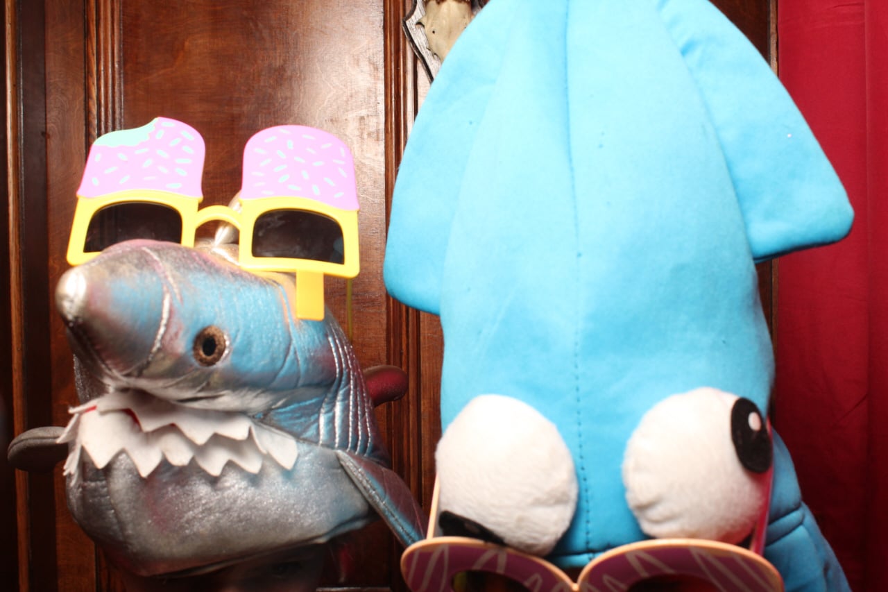 Festivals - Gallery image 3